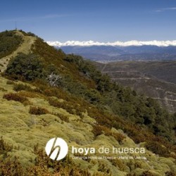 Caminar sobre un mar de nubes: El pico del Aguila