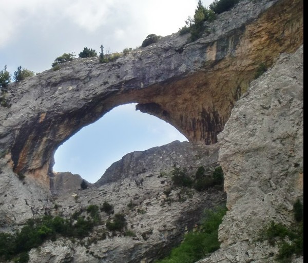 El delfín de las rocas de Rodellar